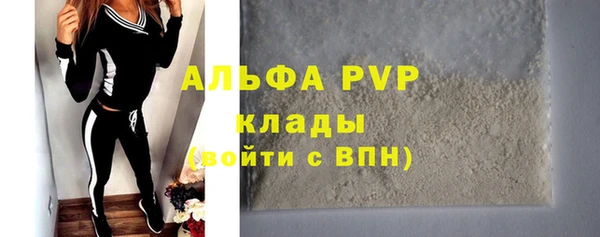 PSILOCYBIN Балахна