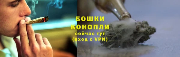 PSILOCYBIN Балахна