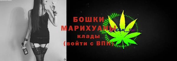PSILOCYBIN Балахна