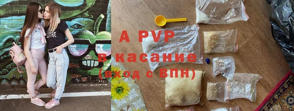 прущие грибы Баксан