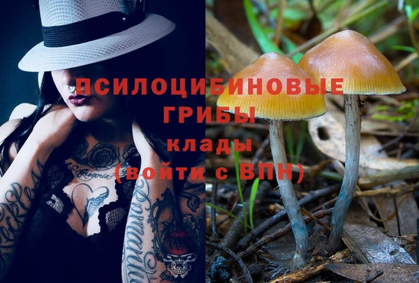 PSILOCYBIN Балахна