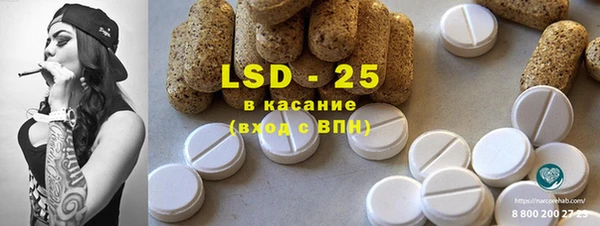 прущие грибы Баксан